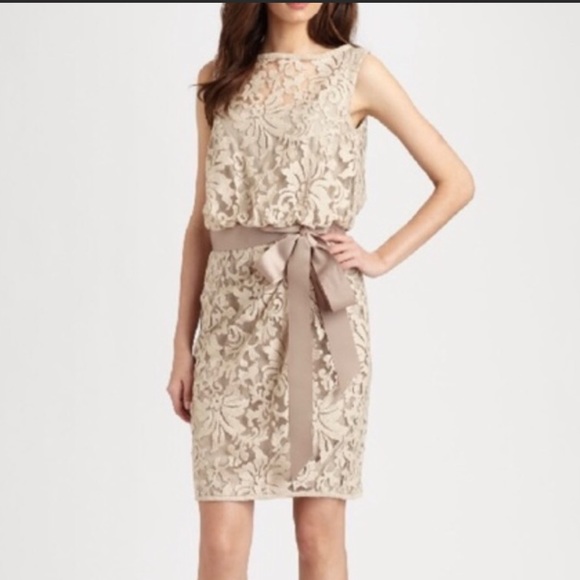 Adrianna Papell Dresses & Skirts - Adrianna Papell  lace cocktail dress Sz 4